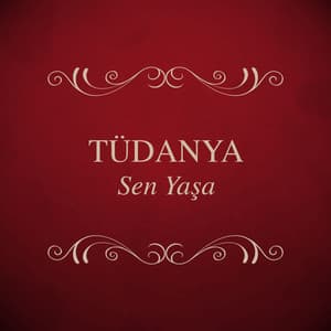 Song - Dur Demediler