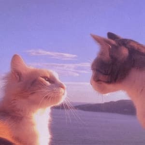 Another Day In Paradise