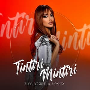 Tintiri Mintiri