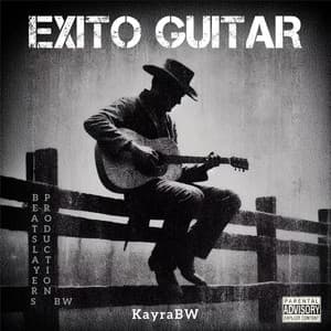 Exito Guitar