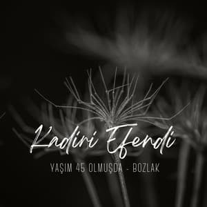 Song - Yaşım 45 Olmuşda Gelsen Ne Olur (Bozlak)