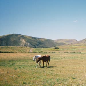 Do I Like You Like That?