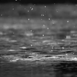 أصوات المطر