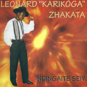 Leornard Karikoga Zhakata - Chido Ndinacho
