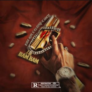 Song - Bam Bam