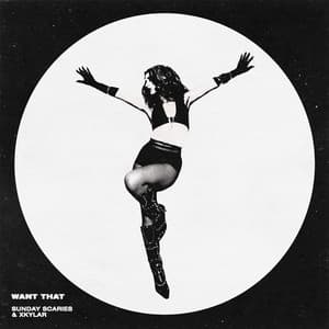 Sunday Scaries & XKYLAR - Want That