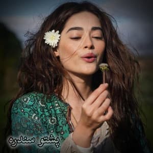 Song - نوی پشتو سندری ته می گل زه دی بلبل New Pashto songs 2026