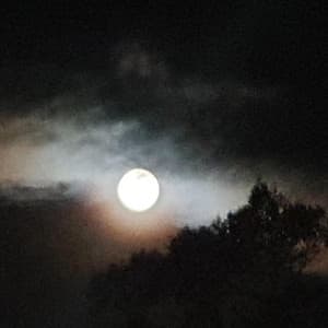 Viphoup - Seasons (guitar cover)