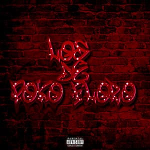 Song - LOS DE POKO FLORO 0.1