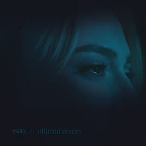 Andia - Ultimul revers