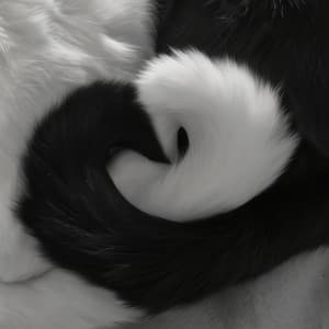 ecentral & Orchestral - Everything Is Romantic (Slowed)