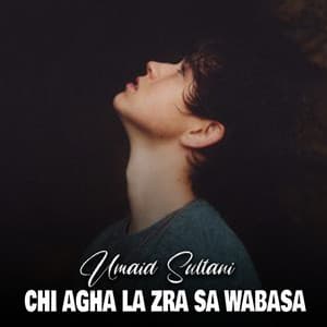 Chi Agha La Zra Sa Wabasa