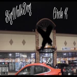 Song - Circle K