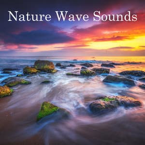 Wave Sound of Sea Side