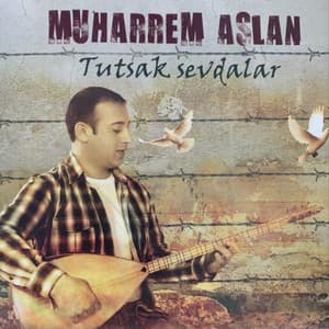 Muharrem Aslan - Ben Gönlümü Sana Verdim