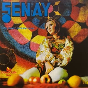 Şenay - Hayat Bayram Olsa