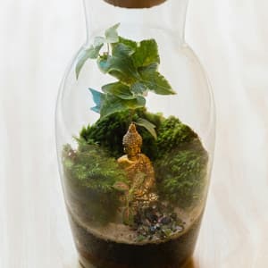 Didn't Cha Know Smooth