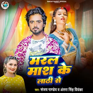 Maral Mash Ke Lathi Se ( DJ Remix 4 )