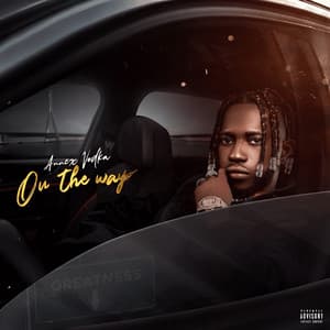 Song - Makanju (feat. Seyi Vibez)