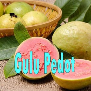 Song - Gulu Pedot