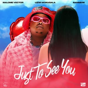 Just To See You (feat. Lizwi Wokuqala & SANNERE)