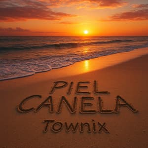 Song - Piel Canela