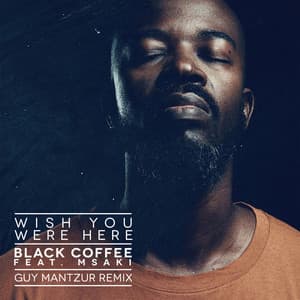 Song - Wish You Were Here (feat. Msaki) [Guy Mantzur Remix]