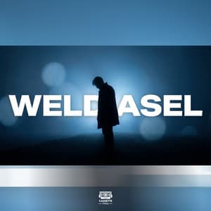 Weld Asel