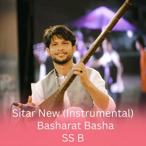 Sitar New (Instrumental) [feat. basharat basha]