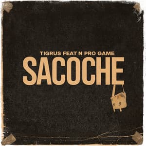 Sacoche (feat. N Pro Game)