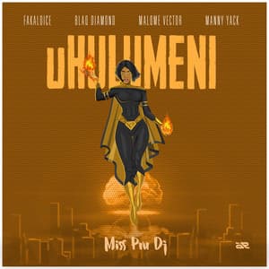 uHulumeni (feat. Blaq Diamond, Malome Vector, Manny Yack & Fakaloice)