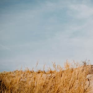 Je Te Laisserai Des Mots