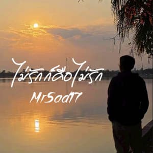 ไม่รักก็คือไม่รัก