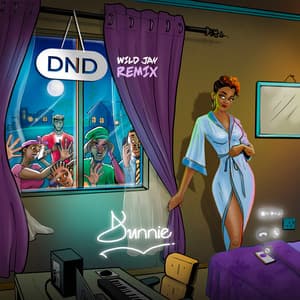 Song - DND (feat. Wildjay) [Remix]