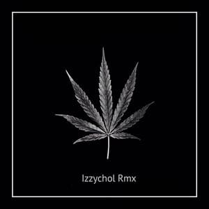 DJ She Doest Mind X Danza Kuduro - Inst