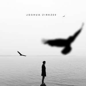 Come over Joshua Zirkzee