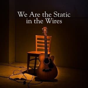We Are the Static in the Wires