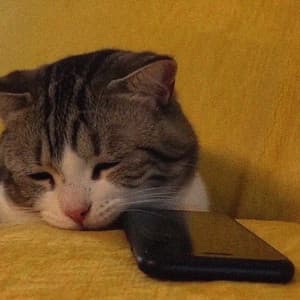 stalk ur socials (slowed)