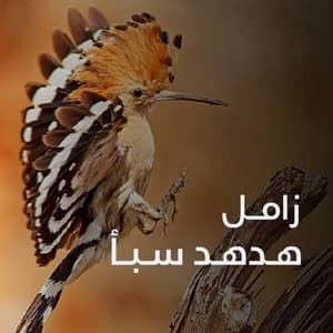 هدهد سبأ
