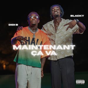 Maintenant ça va (feat. Didi B)