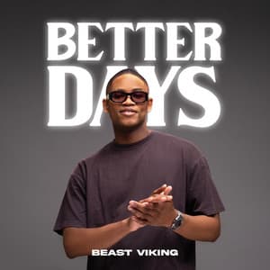 Beast Viking - Better Days (Radio Edit)