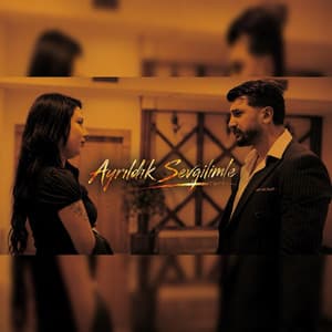 Song - Ayrıldık Sevgilimle