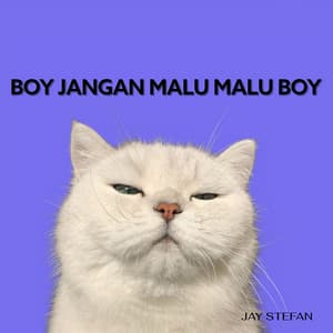BOY JANGAN MALU MALU BOY