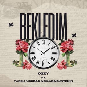 Song - Bekledim