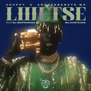 Lwetse (feat. DJ Maphorisa & Mluusician)