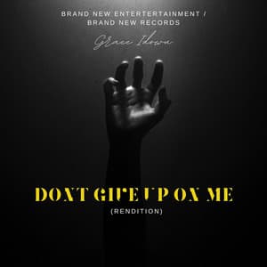 Song - Dont Give up on Me (Rendition)