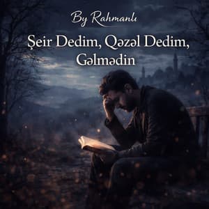 Şeir Dedim Qəzəl Dedim Gəlmədin