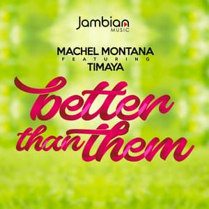 Better Than Them (feat. Timaya)