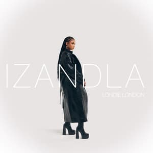 Izandla (feat. PYY Log Drum King)