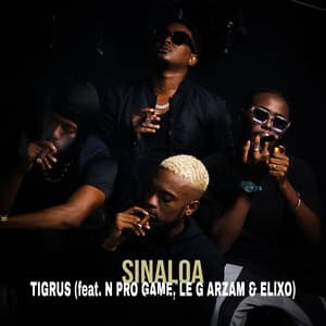Sinaloa (feat. N Pro Game, LE G ARZAM & Elixo)
